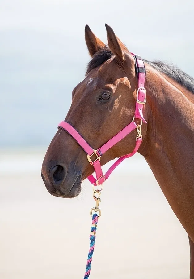 Shires Topaz Nylon Breakaway Halter